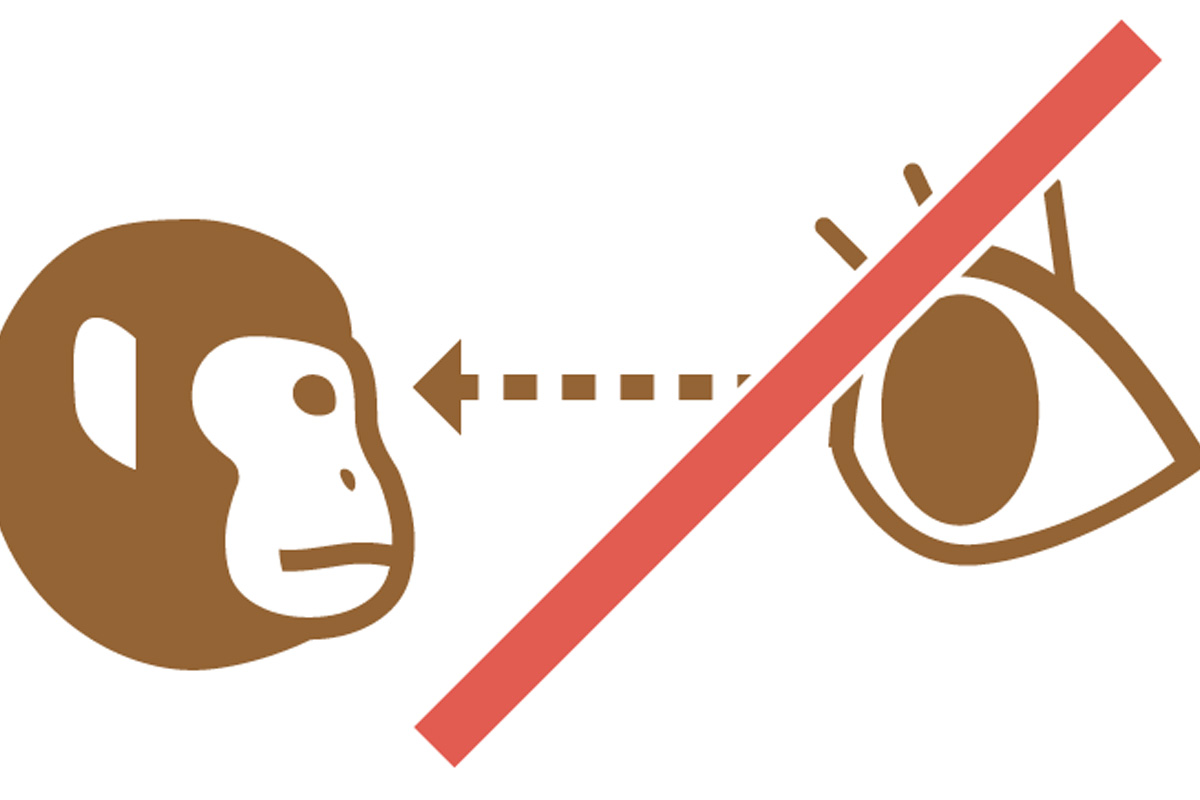 目を見つめない