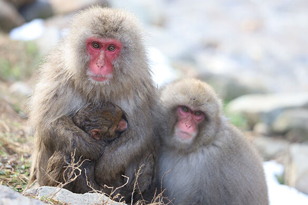 フォトギャラリー